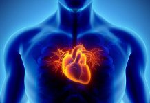 بیماری عروق کرونری قلب چیست؟