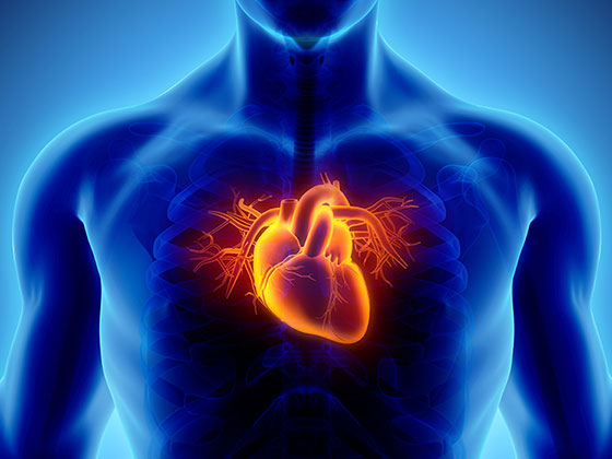 بیماری عروق کرونری قلب چیست؟