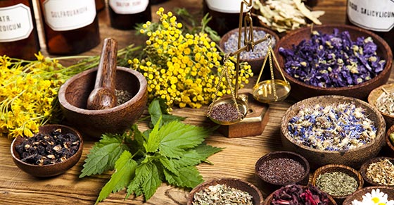 داروهای گیاهی برای تعادل هورمونی