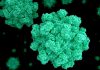 عفونت نورو ویروس چیست؟