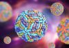 عفونت ویروس نیل غربی چیست؟