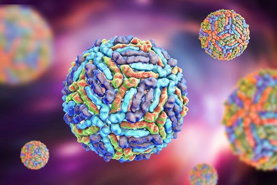 عفونت ویروس نیل غربی چیست؟