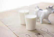 آیا شیر برای نقرس خوب است؟