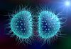 مننژیت باکتریایی چیست؟