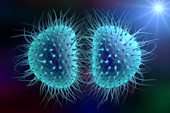 مننژیت باکتریایی چیست؟