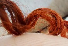 آیا ساس ها بر روی موهای انسان زندگی می کنند؟
