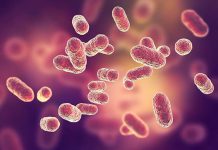 واژینوز باکتریایی در مردان